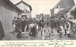 BELGIQUE - Le Raid Militaire International Bruxelles Ostende - Au Controle De Syngem - Animé  - Carte Postale Ancienne - Zingem