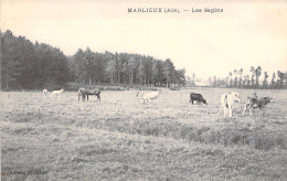 FRANCE - Marlieux - Les Sapins - Vaches - Carte Postale Ancienne - Unclassified