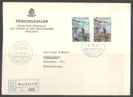 Iceland. FDC Sc. 354-355.   FAO “Freedom From Hunger” Campaign.  FDC Cancellation On Special Envelope - FDC