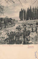 TURQUIE - Smyrne - Les Bords Du Méleze Et Caravane De Chameaux - Carte Postale Ancienne - Turkey