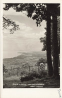 SUISSE - Signal De Bougy - Les Horisons Bleus - Hôtel - Pension - Carte Postale Ancienne - Sonstige & Ohne Zuordnung