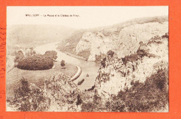 24489 / ◉  WAULSORT Hastière Vallée MEUSE Chateau FREYR 1910s ● Editeur DESAIX - Hastière