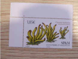 Timbre Saint Pierre Et Miquelon 2023 : Clavaire Fusiforme - Unused Stamps