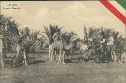 LIBIA / LIBYA - TRIPOLI - GIARDINI GUARSCIA - EDIZIONE RAGOZINO - 1911 (12345) - Libia