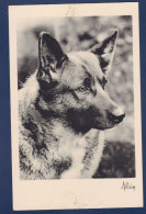 CPA 1 Euro Chien Berger Allemand Dog écrite Prix De Départ 1 Euro - Honden