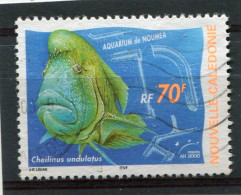 NOUVELLE CALEDONIE  N°  815  (Y&T)  (Oblitéré) - Gebraucht