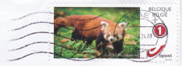 Zoo Planckendael - Rode Panda - Oblitérés