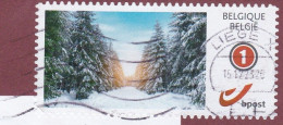 Sneeuwlandschap Met Sparren - Used