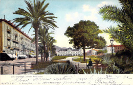 FRANCE - Les Nouveaux Jardins Et Casino - Nice - Colorisé - Carte Postale Ancienne - Parchi E Giardini