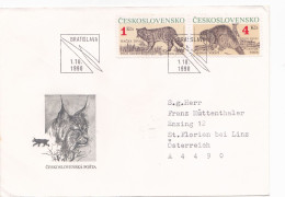 COVERS  FDC,BATS,BIG CATS,CIRCULATED 1990   Czechoslovakia . - Brieven En Documenten