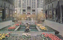 AK 193927 USA - New York City - The Channel Gardens At Rockefeller Center - Parchi & Giardini