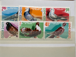 Romania  MNH 1981 - Pigeons & Columbiformes