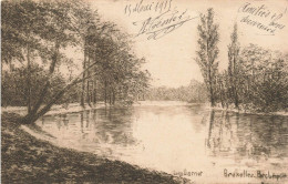 BELGIQUE - Bruxelles - Parc Léopold - Carte Postale Ancienne - Autres & Non Classés