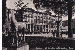 Cartolina Carrara - Il Cavallino Dello Scultore Dazzi - Carrara