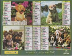 CALENDRIER ANNEE 2003, COMPLET, MULTIVUE, CHIOTS CHATONS COULEUR  REF 13862 - Grand Format : 2001-...