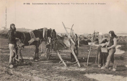 29 - PLOUESCAT _S25125_ Cultivateurs Des Environs - Vue Générale De La Côte De Frondon - Agriculture - Plouescat