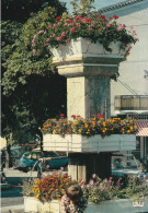 CPM LUC EN DIOIS (26 DROME) - LA FONTAINE FLEURIE - Luc-en-Diois