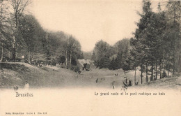 BELGIQUE - Bruxelles - Le Grand Ravin Et Le Ont Rustique Au Bois - Carte Postale Ancienne - Sonstige & Ohne Zuordnung