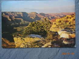 SUNSET AT HOPI POINT - Gran Cañon