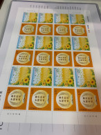 China Stamp Sunflowers Bird Book Whole Sheet Landscape MNH - Luftpost