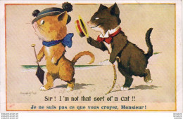 ILLUSTRATEUR MC GILL DONALD .............   SIR I'M NOT THAT SORT OF A CAT - Mc Gill, Donald