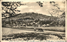 41591042 Neckargemuend Uferpartie Am Neckar Kuh Rainbach Dilsberg Neckargemuend - Neckargemuend