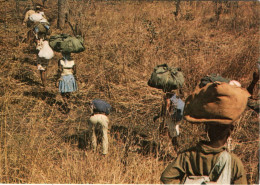 ANGOLA - Luta Armada De Libertação Nacional - Frelimo - Angola