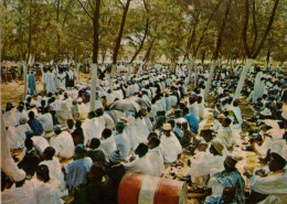 GUINÉ  PORTUGUESA - BISSAU - Cerimónia Religiosa Maometana - Guinea-Bissau