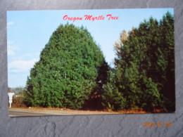 OREGON MYRTLE TREES - Autres & Non Classés