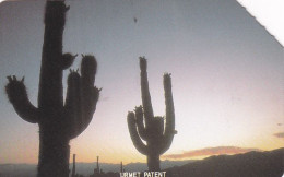 ARGENTINA(Urmet) - Two Cactus At Sunset, Jujuy, Used - Argentinien