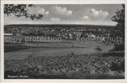 41585996 Koeppern Taunus Panorama Friedrichsdorf - Friedrichsdorf