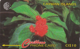 CAYMAN ISL.(GPT) - Broadleaf Flower, CN : 94CCIB, Used - Kaimaninseln (Cayman I.)