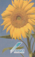 BOLIVIA - Sunflower, 04/99, Used - Bolivie