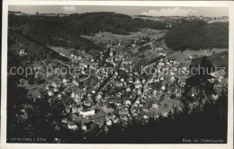 41585084 Schramberg Fliegeraufnahme Goettelbachtal Hotel Lamm Schramberg - Schramberg