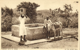 Curacao, N.W.I., People At The Water Well, Donkey (1940s) Postcard - Curaçao