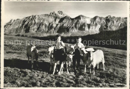 11636767 Urnaesch AR Hochalp Ziegen Kinder Saentisblick Urnaesch - Altri & Non Classificati