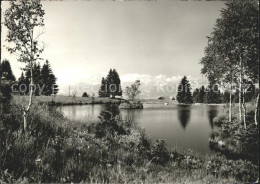 11636705 Gaebris Mit Alpsteinblick Gaebris - Autres & Non Classés