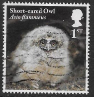 GROSSBRITANNIEN GRANDE BRETAGNE GB 2018 SHORT-EARED OWL - ASIO FLAMMEUS BIS 1ST USED SG 4090 MI 4210 YT 4630 SC 3729 - Oblitérés