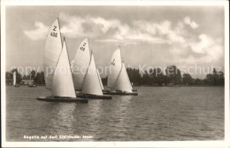 72124431 Segeln Regatta Steinhuder Meer   - Sailing