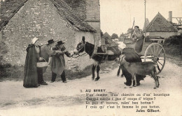 FRANCE - Au Berry - Ane Tirant Une Charrette - Carte Postale Ancienne - Bourges