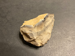 L56 Silex Grattoir Trouvé à Buigny (Oise ) Longueur 8 Cm Néolithique - Archäologie