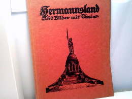 Hermannsland (seltenes Exemplar). - Deutschland Gesamt