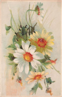 FLEURS PLANTES - Fleurs - Marguerites - Dos Non Divisé - Carte Postale Ancienne - Fleurs