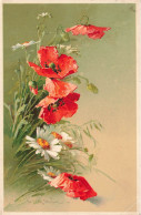 FLEURS PLANTES - Fleurs - Coquelicots - Marguerites - Carte Postale Ancienne - Fleurs