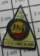 720 Pin's Pins / Beau Et Rare / SPORTS / PETANQUE COMITE DU NORD FFPJP ST SAULVE - Pétanque