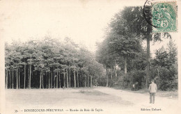 FRANCE - Bonsecours Peruwelz - Entrée Du Bois De Sapin - Carte Postale Ancienne - Bonsecours