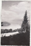 E2257)  MILLSTÄTTERSEE - Kärnten - FOTO AK - Wunderschöner Blick über Straße U. See ALT ! - Millstatt