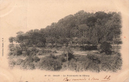ALGERIE - Oran - Vue Sur La Promenade De L'étang - Carte Postale Ancienne - Oran
