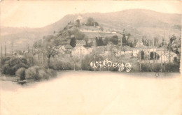 WILDEGG - Carte Précurseur 1900 - Wildegg