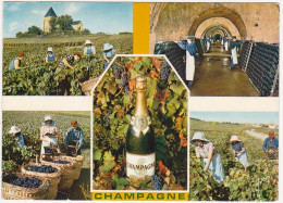 LA CHAMPAGNE ET LE CHAMPAGNE (Dom Pérignon) - Multi-vues - 1967 - Champagne-Ardenne